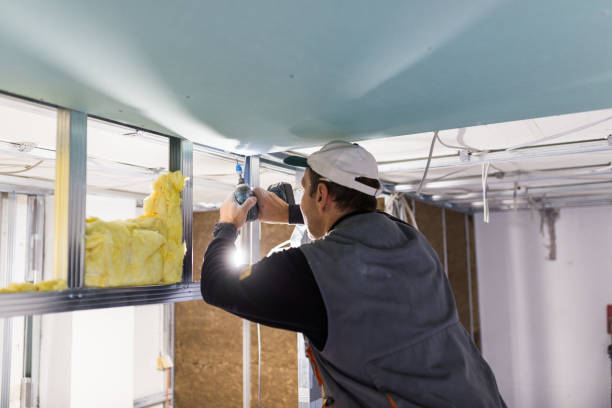 Best Eco-Friendly Insulation in Monte Vista, CO