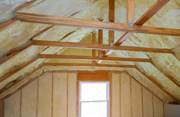 Best Blown-in Insulation in Monte Vista, CO