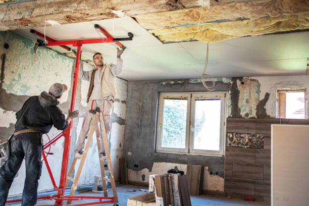 Best Commercial Insulation in Monte Vista, CO
