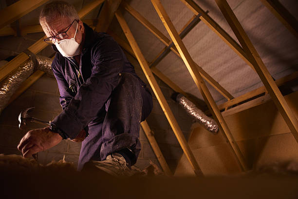 Best Fiberglass Insulation in Monte Vista, CO